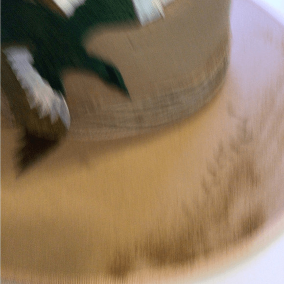 NEW! Lack of Color X Ruxpinsrags Custom Fall Feathers Rancher main image 7